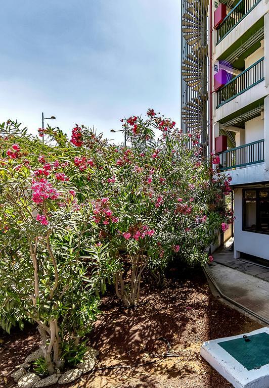 Vina Del Mar Ocean Apartman Playa de las Américas Kültér fotó
